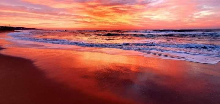 511 Umdloti Resort Beachfront 1Bed Self Catering Apartment Sea View Bagian luar foto
